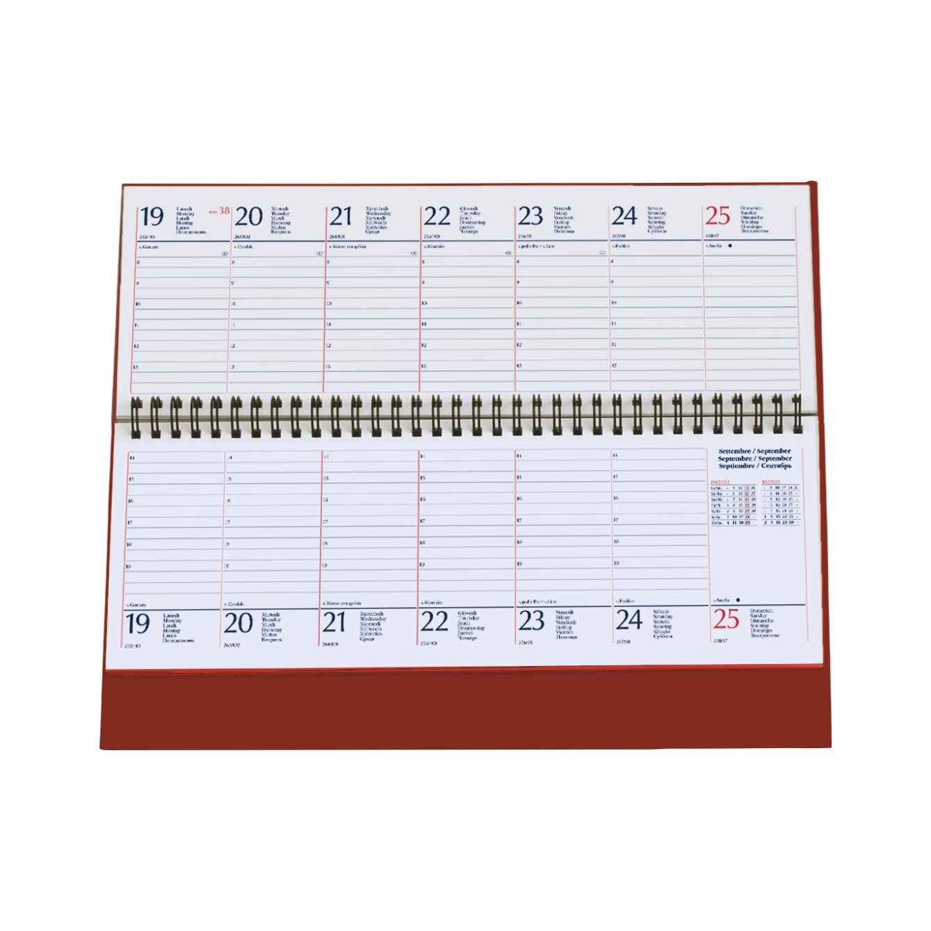 Planning spiralato - immagine 2